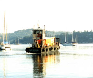 Move From Angel Island, CA - Mid 1990's