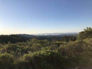 Marin County Hills
